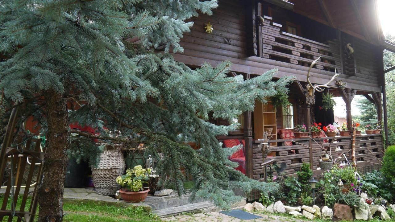 Cabana Rustic Borşa Exterior foto