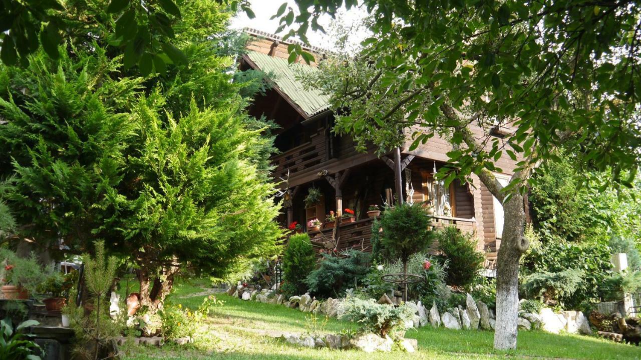 Cabana Rustic Borşa Exterior foto