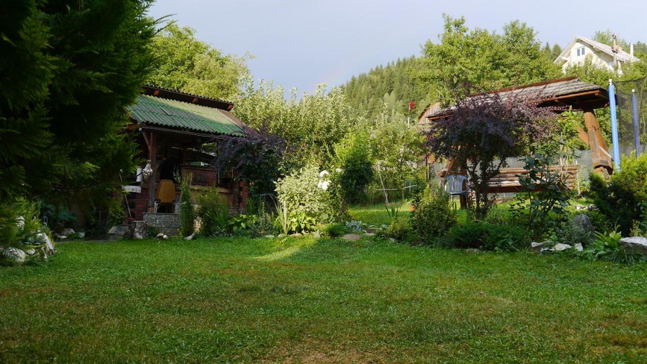 Cabana Rustic Borşa Exterior foto