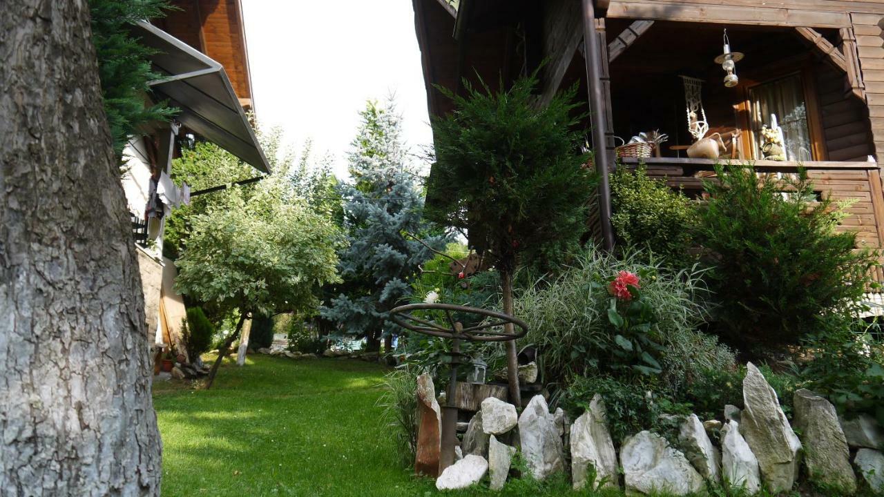 Cabana Rustic Borşa Exterior foto
