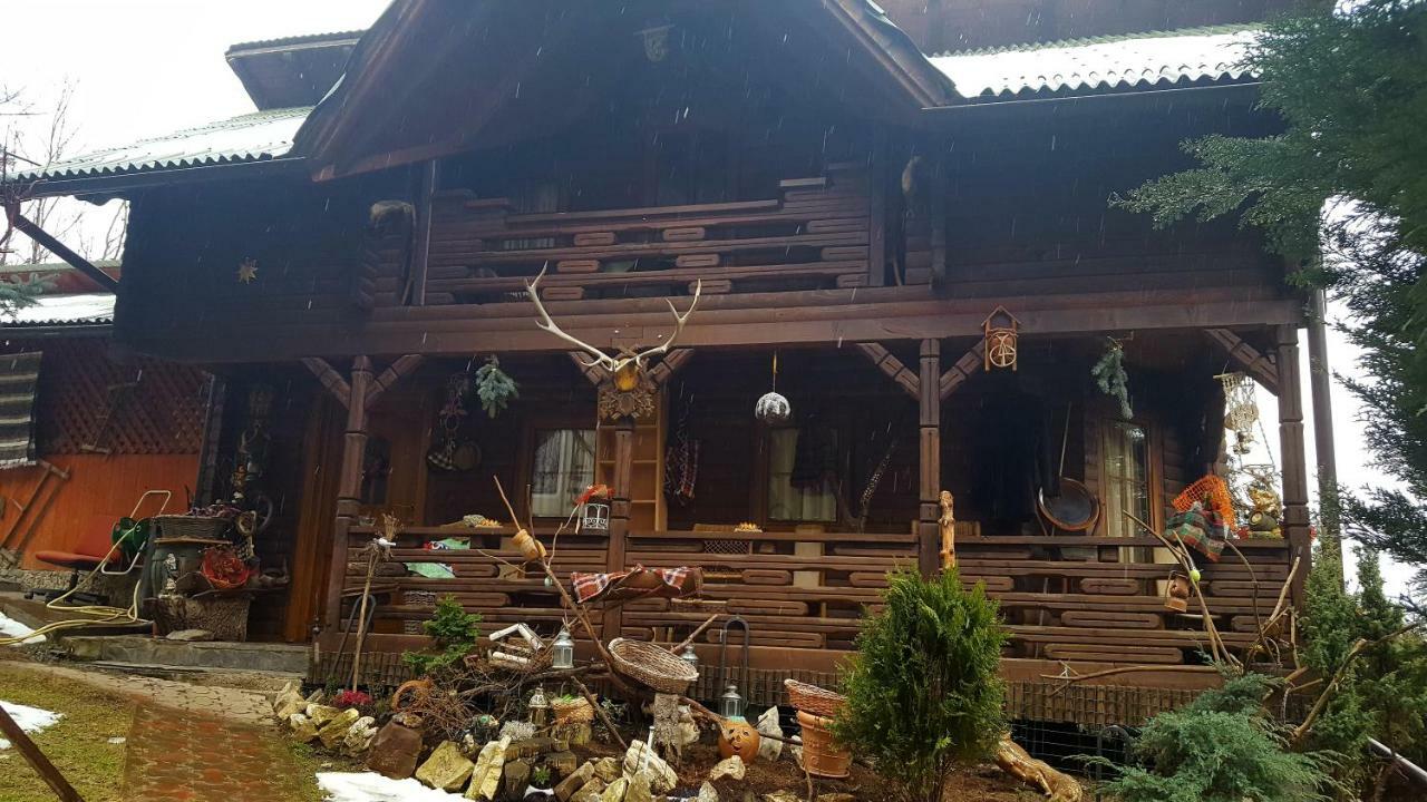 Cabana Rustic Borşa Exterior foto